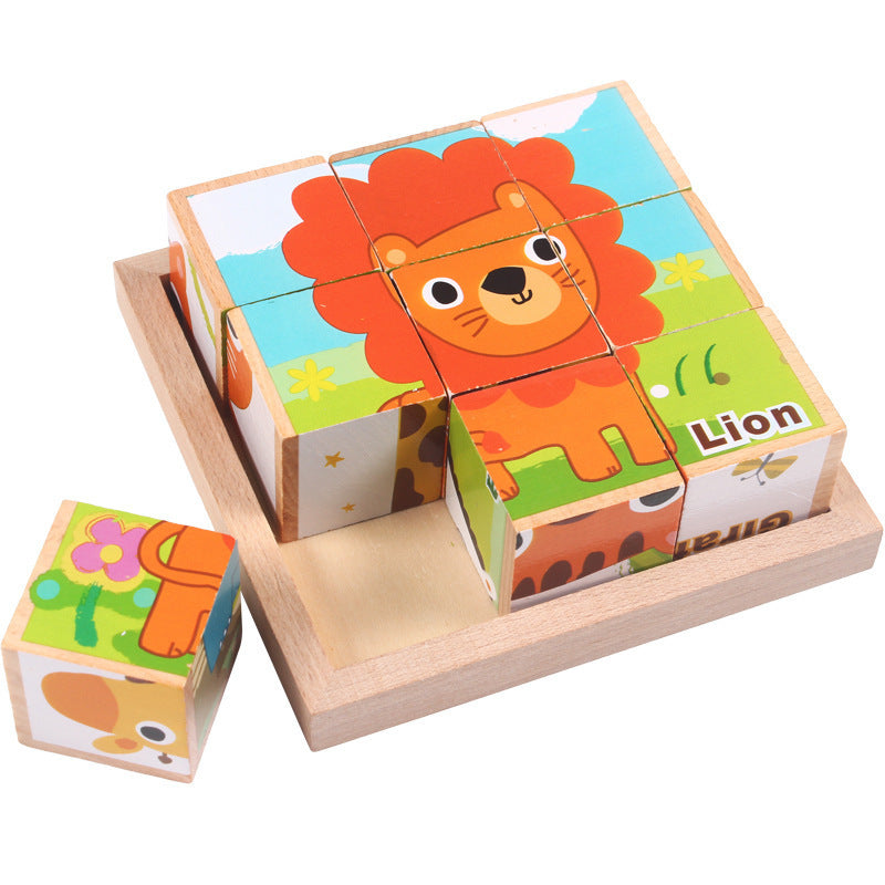 6-in-1 Puzzles Blocks
