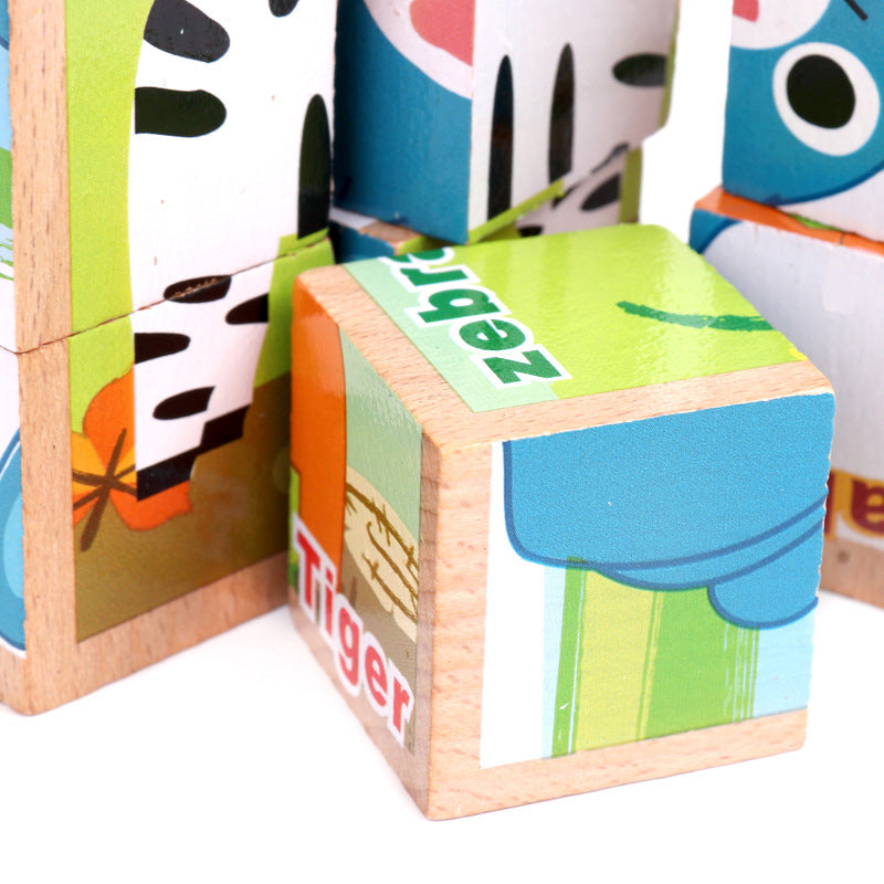 6-in-1 Puzzles Blocks