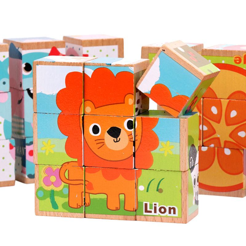 6-in-1 Puzzles Blocks