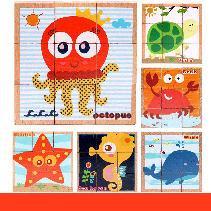6-in-1 Puzzles Blocks