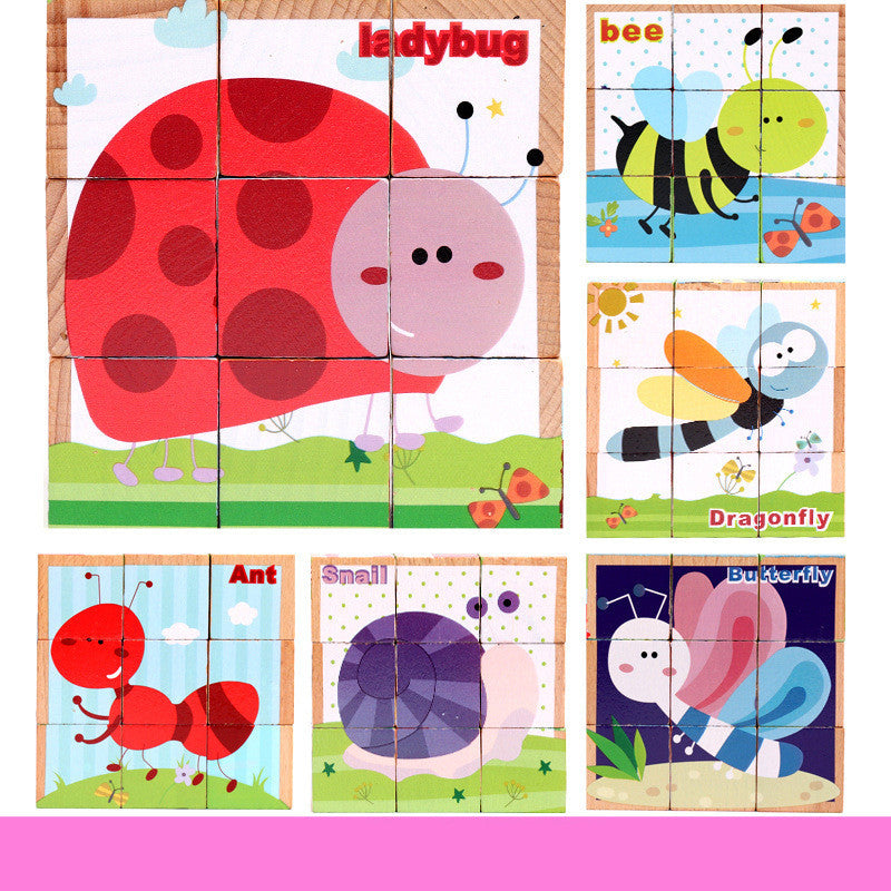 6-in-1 Puzzles Blocks