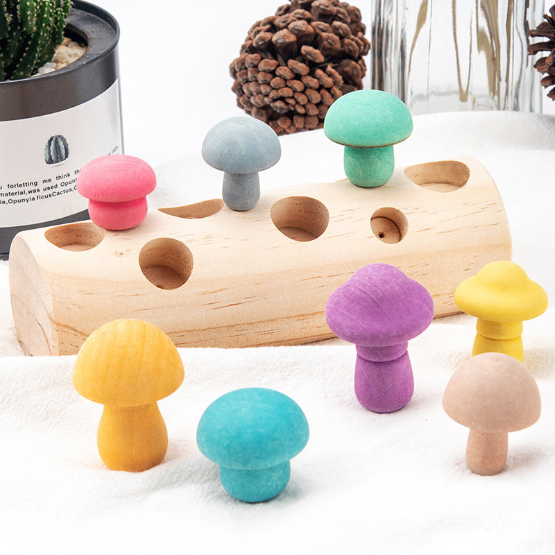 Fungi Fun Log