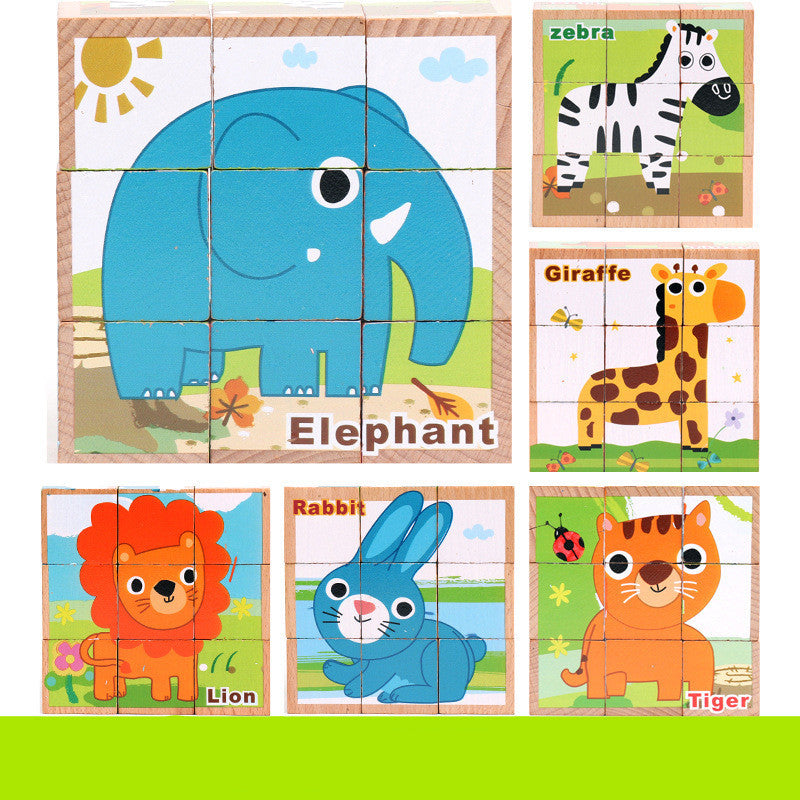 6-in-1 Puzzles Blocks