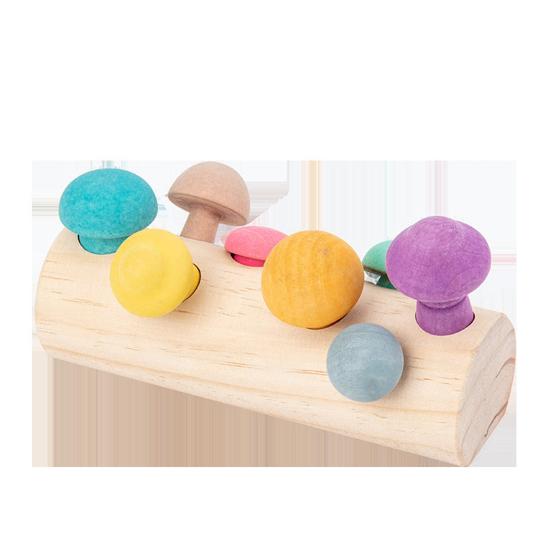 Fungi Fun Log